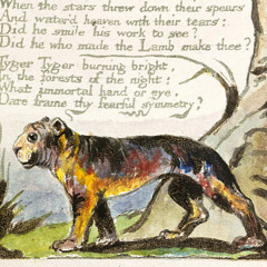 The Tiger by William Blake for Edexcel IGCSE
