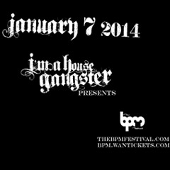Basement Jaxx at DJ Sneak's "I'm A House Gangster" - BPM, Mexico - 7th January 2014