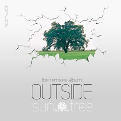 SUNTREE - The Big Bang (RITMO Rmx) - Sample