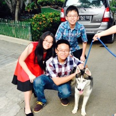 Almost is Never Enough - Ariana Grande (short Cover)