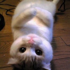 LOVE ELIXIR (rough mix)- by TONEFINGER (Lipbone, Mashti  & Funky Mike)