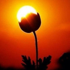Have a Nice Day...