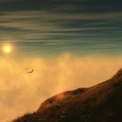 Background Movies, 2011