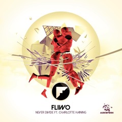 Fliwo - Never Divide (ft. Charlotte Haining)