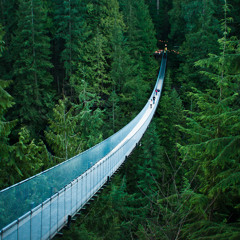 Baby's Arms - Kurt Vile cover