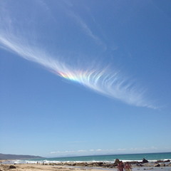 Soft Cell *Out Now* Movingdeep!