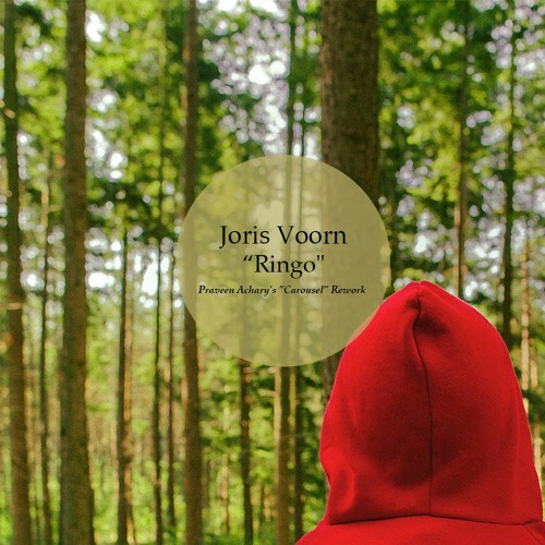 ringo joris voorn ringo joris voorn