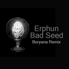 Erphun - Bad Seed (Boryana Remix)