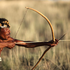 Charodey Jeddy aka Vobr - Bushmens