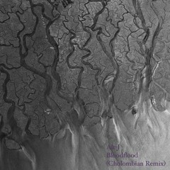 alt-J - Bloodflood (Cholombian Remix)
