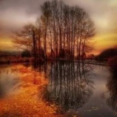 Feels So Close Remix (Remastered Version)