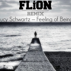 FLiON - Lucy Schwartz – Feeling of Being(FLiON Remix)
