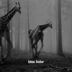 Blac Kolor - Banging (Architect Buddebai Remix)