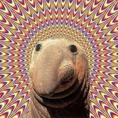 GET GET DOWN vs HACKNEY PARROT (Groovewrk Bootleg Of A Bootleg)