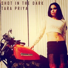 Shot in the Dark [LP] (2014)