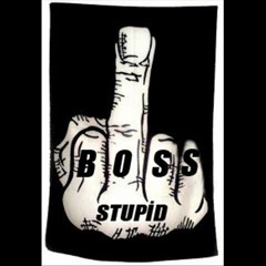 Stupid boss