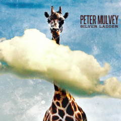 If You Shoot At A King