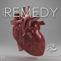 2. The Entity (The Remedy, Chapter 1- The Heart)