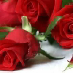 Fow tounen Sinik mizik