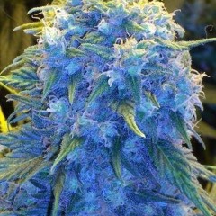 Another One Rolled Ft. Mista Los