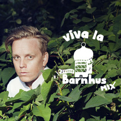 Viva la Studio Barnhus