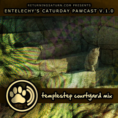 Entelechy's Caturday Pawcast vol.1