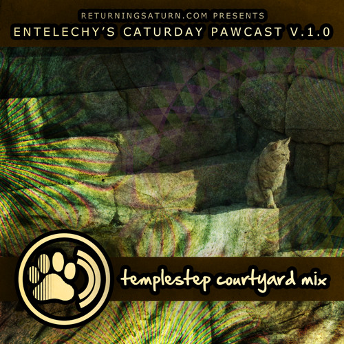 Entelechy's Caturday Pawcast vol.1