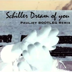 Schiller-Dream Of You ( Pauljey Bootleg Remix )