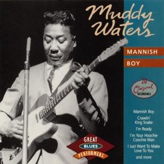 Muddy Waters and The Rolling Stones - Mannish Boy