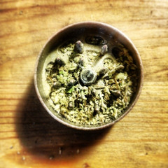 Cudderisback (Kid Cudi cover) - Jo Deer ft. Elisa Jo