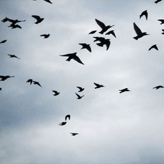 Tagtraum (Snippet) - RIKO Soundtrack