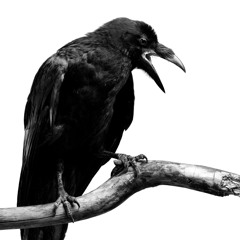 The battle of Clontarf by Deep End of the Ford