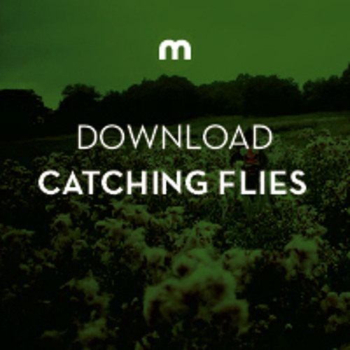 Download: Catching Flies in the mix