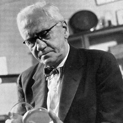 Sir Alexander Fleming Discovery Of Penicillin 1945 By Wellcomelibrary