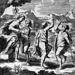 La terra del rimorso (1954)