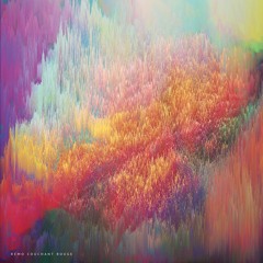 Remo - DIMNESS