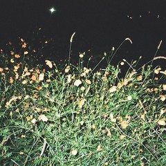 I Can't Make You Love Me - Justin Vernon