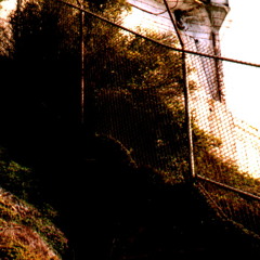 Catecholamine By l3UG_LoKaTeK Gang