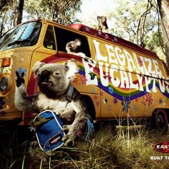 " Tiens !!! j'avais ça au fond du placard !!! "