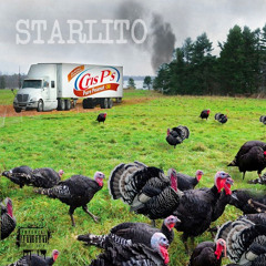 Runnin' - Starlito (feat. Robin Raynelle)
