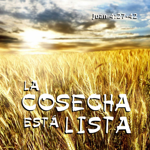 11-La cosecha está lista
