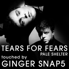 Tears For Fears - Pale Shelter (touched by GINGER SNAP5)