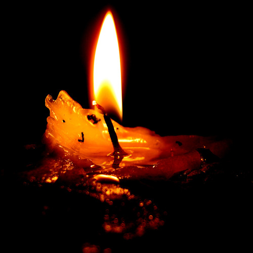 The Cuckoo Without Her Nest (Wooden Flute / Slow Air)