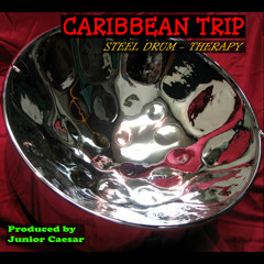 Girl On Fire - Jr Steel Pan (Style Of Alicia Keys)