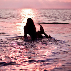 "La vie est un long fleuve tranquille..."