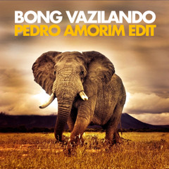 BONG VAZILANDO (PEDRO AMORIM EDIT)