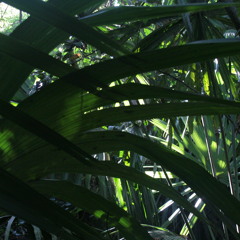 mOOny´s Gay Powder For Wet POOtins