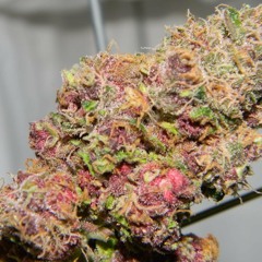 G.L. "PASS THAT" SNIPPET FROM NEW E-EP