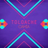 toloache-camia-music