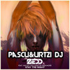 PASCU & URTZI DJ - STAY THE NIGHT (ZEDD)
